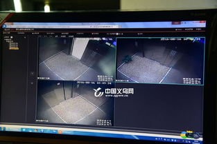 义乌企业借助物联网技术领跑智慧电梯研发，探索城市垂直交通新纪元